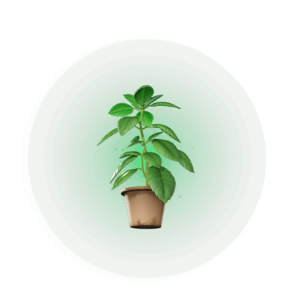 Hierba verde