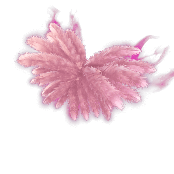 Alas angelicales de Madison