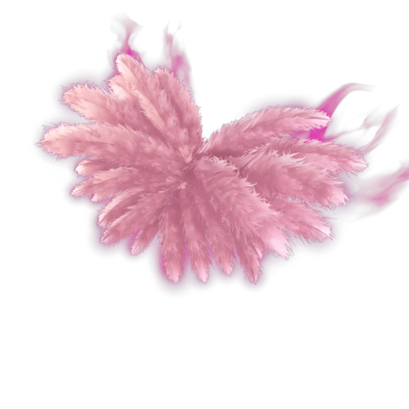 Alas angelicales de Madison