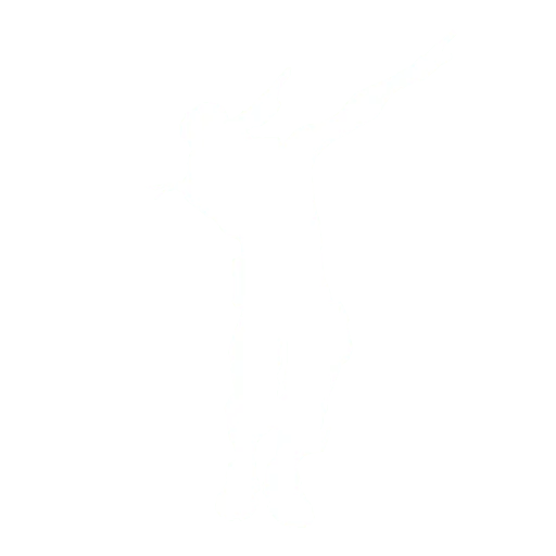 Dab